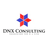 DNX Consulting