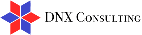DNX Consulting Logo